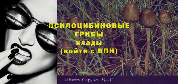 ALPHA PVP Мегион