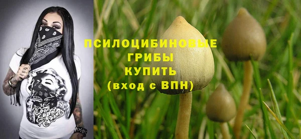 a pvp Михайловск