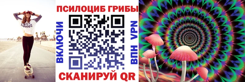 Псилоцибиновые грибы прущие грибы Полысаево