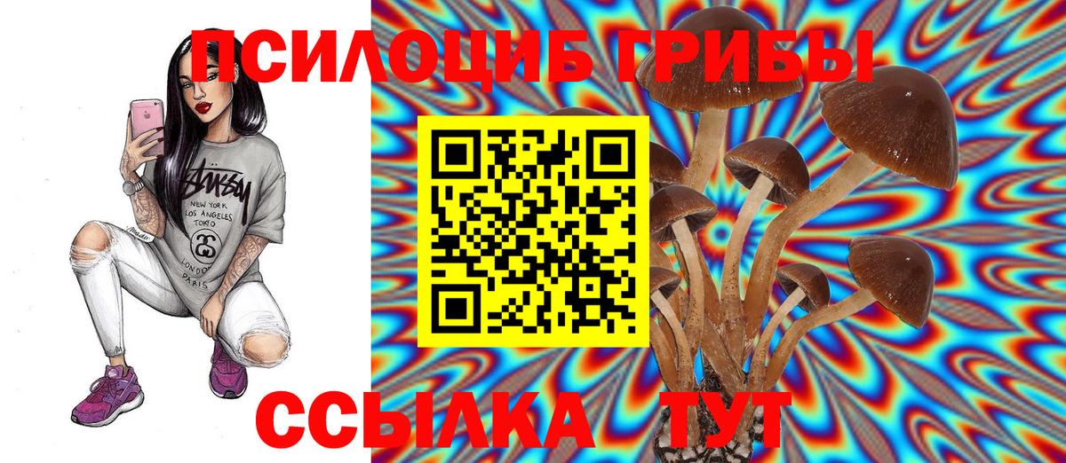 Псилоцибиновые грибы Magic Shrooms Полысаево